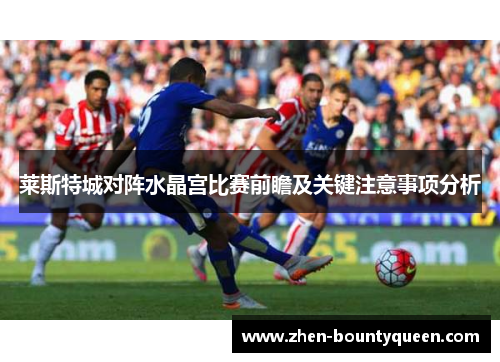莱斯特城对阵水晶宫比赛前瞻及关键注意事项分析