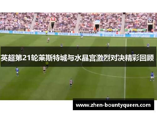 英超第21轮莱斯特城与水晶宫激烈对决精彩回顾 