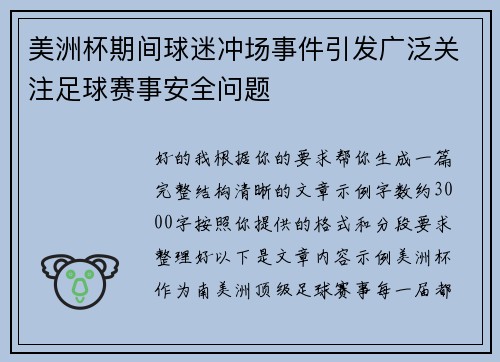 美洲杯期间球迷冲场事件引发广泛关注足球赛事安全问题 美洲杯期间球迷冲场事件引发广泛关注足球赛事安全问题