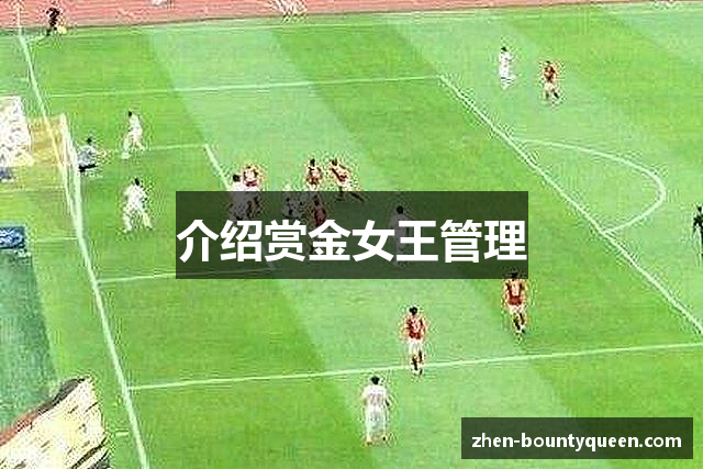 介绍赏金女王管理